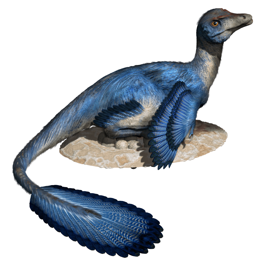 1亿年前恐龙留下一串脚印科学家测出了它的时速