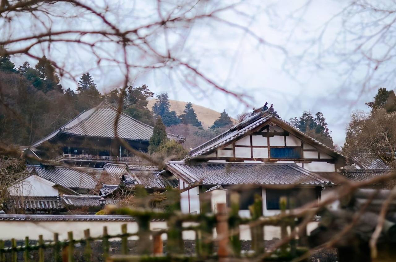 奈良寺庙也太古景色也美得不得了不得了