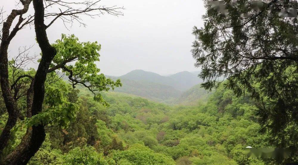 延安这个休闲避暑的好地方,五一假期你打卡了吗?_劳山