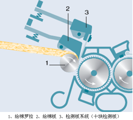 技术| 梳棉机后部结构和工艺的发展