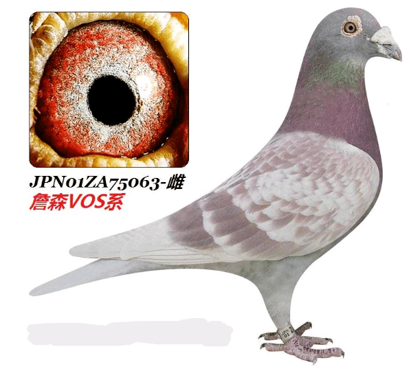 070388953b4d428da2fc57592bba792b.png