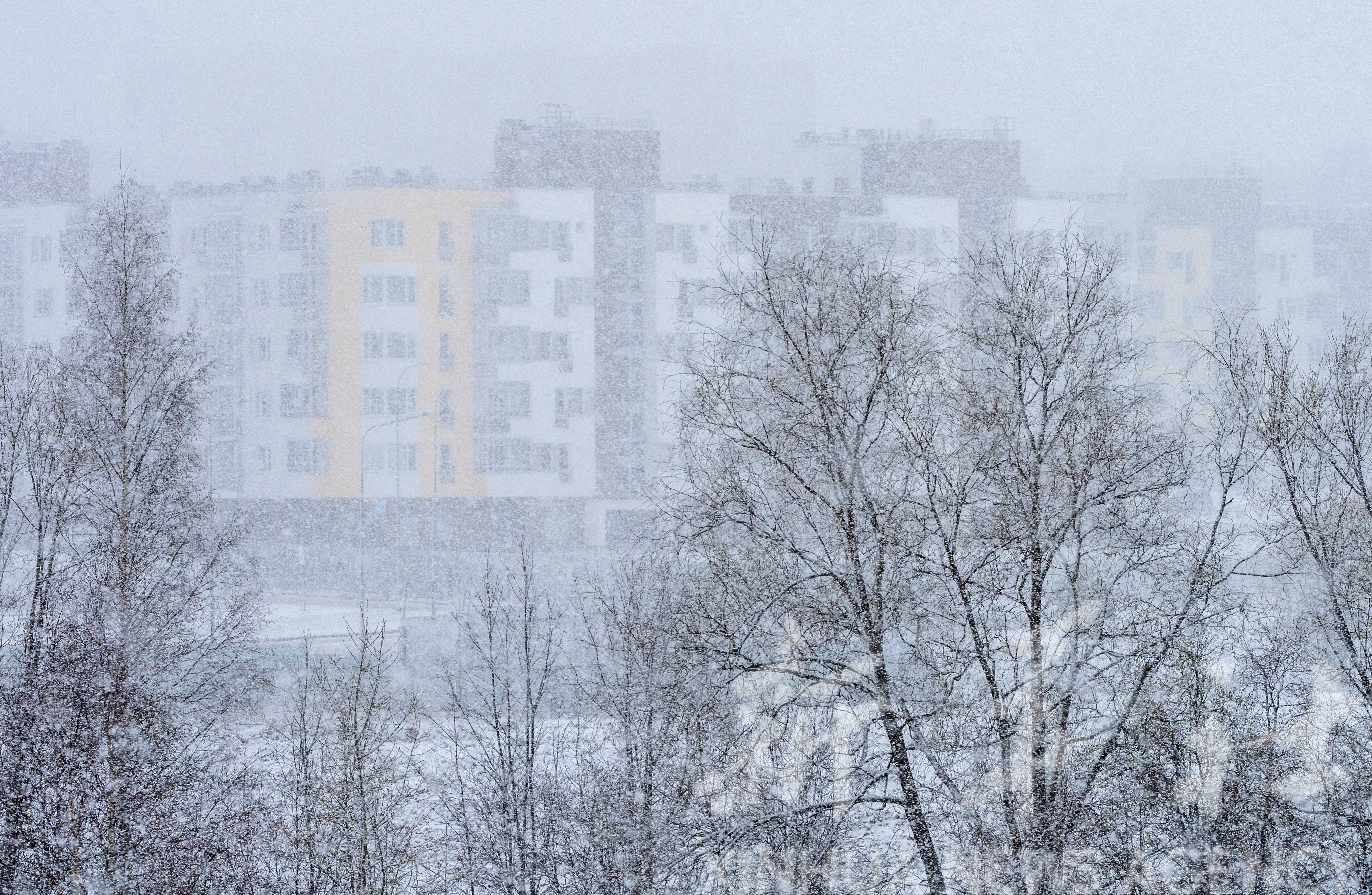 俄罗斯:下雪了