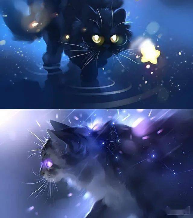 猫都是又乖又萌的治愈小精灵_猫咪