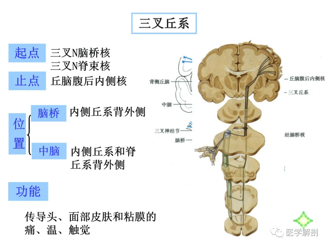 60909c12053b4d29a755bfe1344ee5eb.png