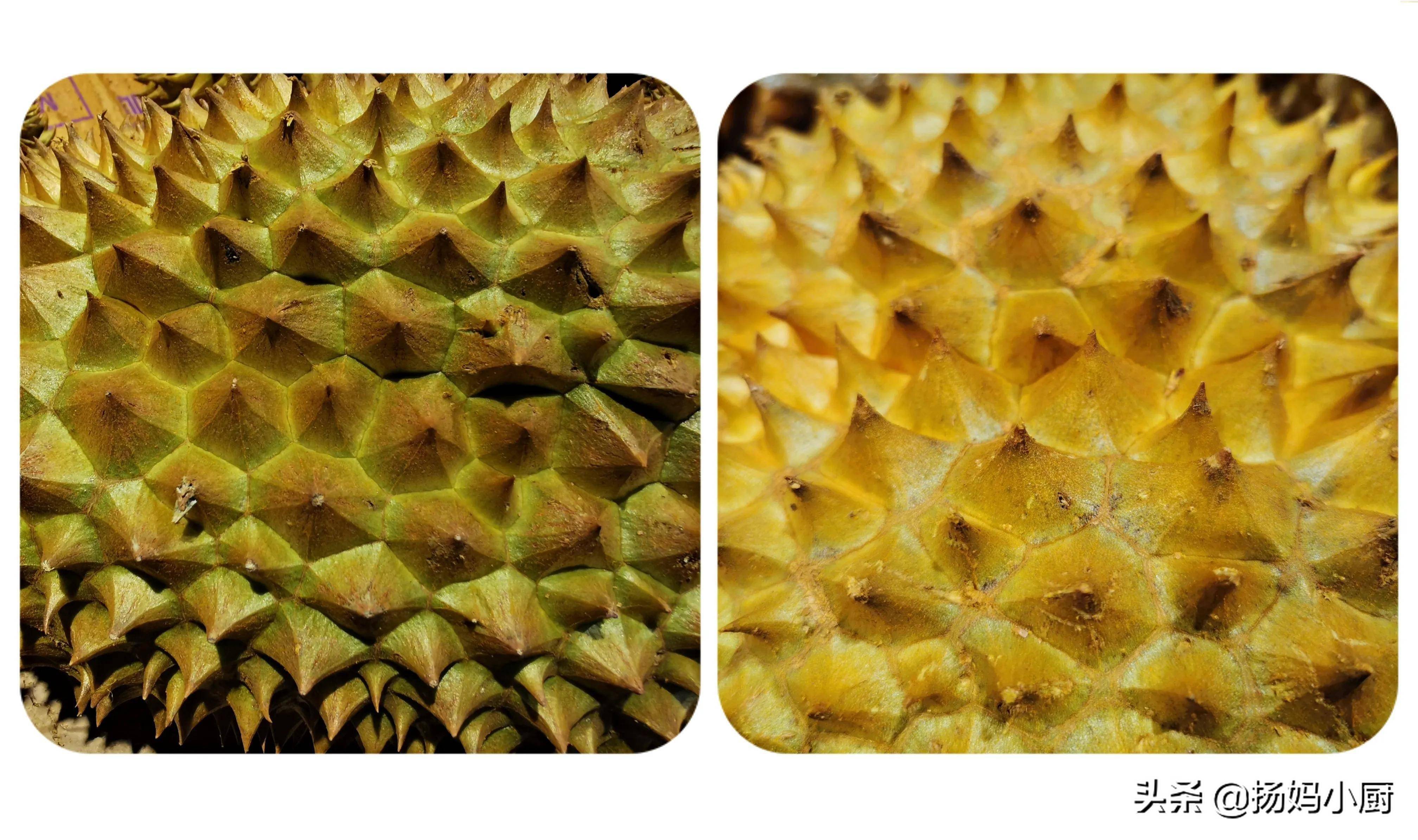 榴莲也分公母教你3个挑选技巧买到的榴莲肉多饱满太实用了