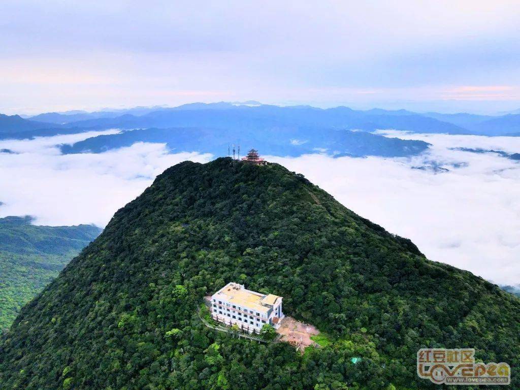 网眼看来宾美丽金秀看圣堂山日出云海赏银杉公园银杉王