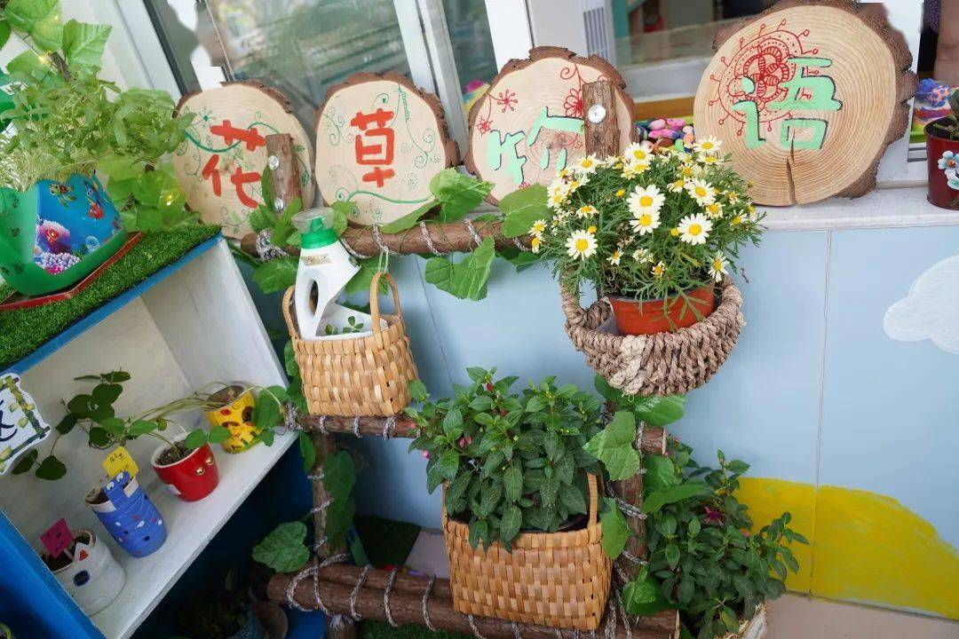 在自然角的创设中,教师充分发挥了"变废为宝"的环保精神,从各年龄段