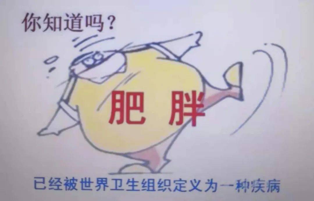怎样减肥最科学健康 b60bc7bac3c5487ea01fb040b8aff015.jpeg