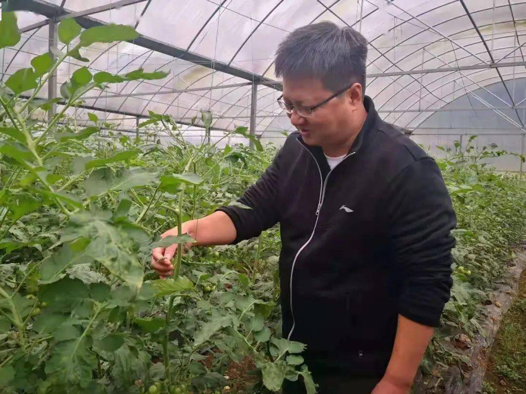 苏州农工党党员吴鹏程被表彰为贵州省脱贫攻坚先进个人