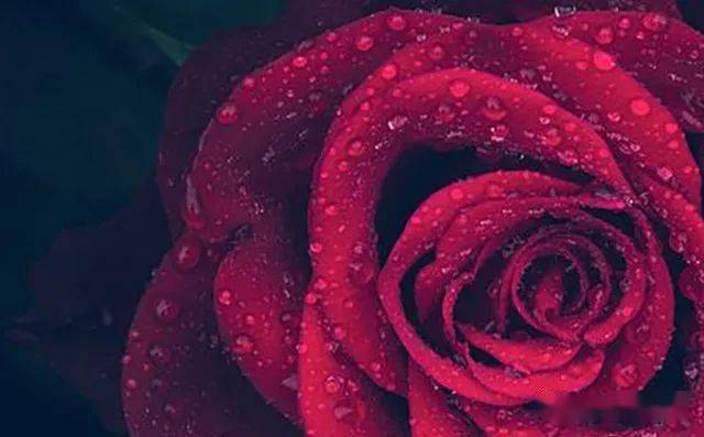 当孩子失恋时 父母应该怎么办 家长