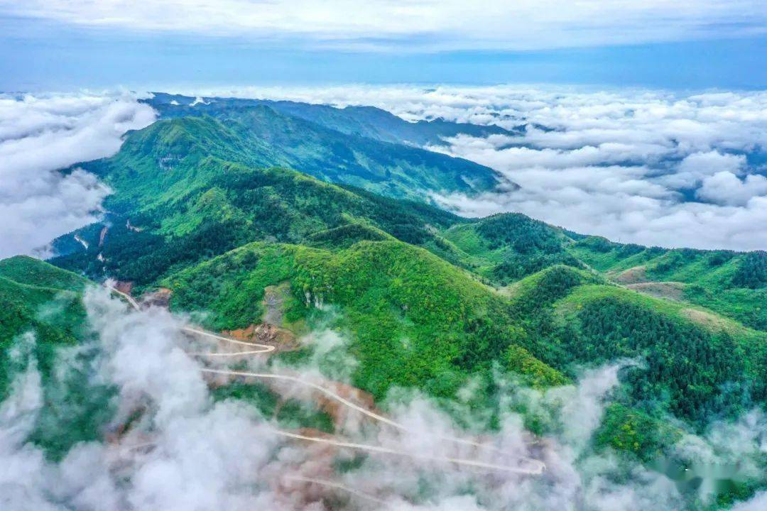 云雾缭绕的山上披红装!这样壮美的景观楠木乡就能见到