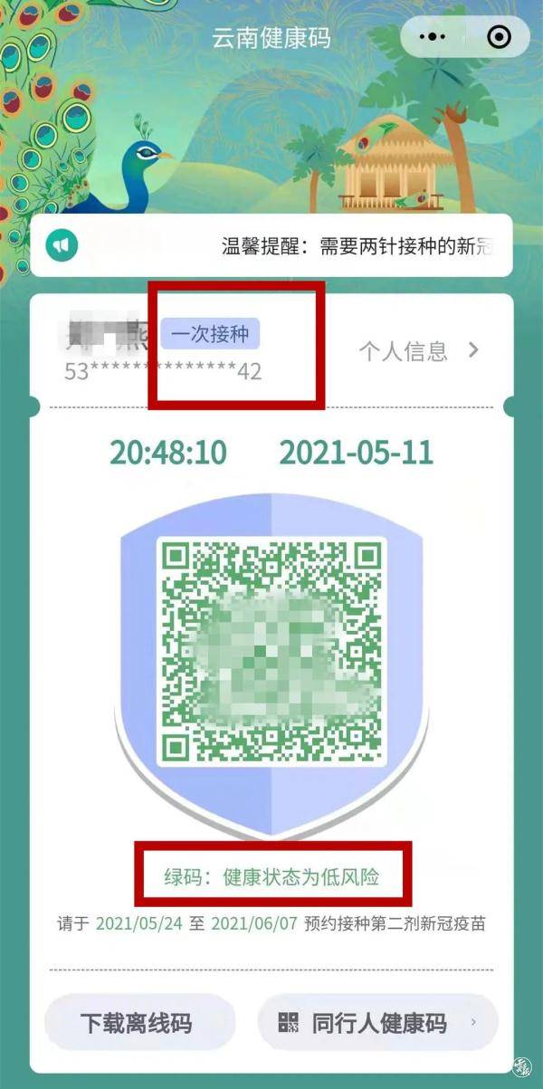 云南健康码黄码截图图片