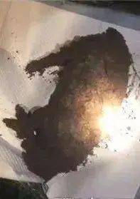 梦境与现实,解读刚刚梦到邻居死了但邻居现在还没死的深层含义 梦境与现实,解读刚刚梦到邻居死了但邻居现在还没死的深层含义