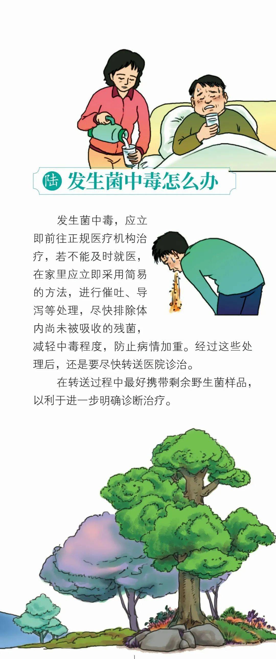 野生菌中毒健康宣教图片