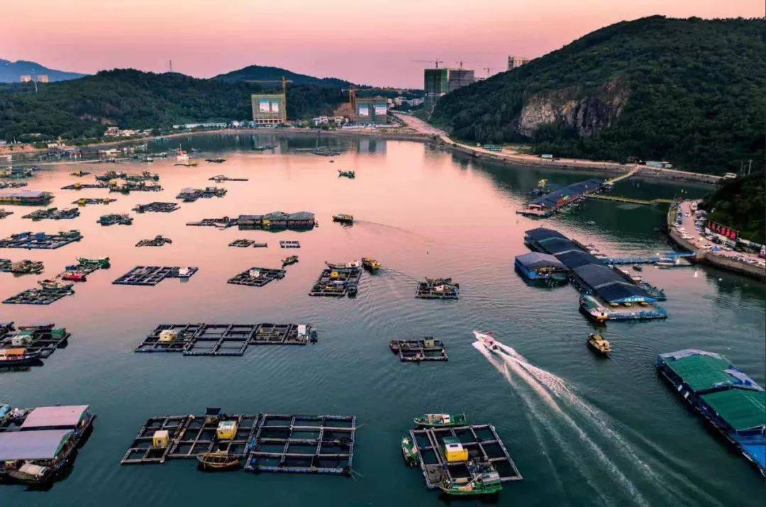 【旅游摄影】2021年6月18-20日 粤西"海的风情"三天摄影创作团