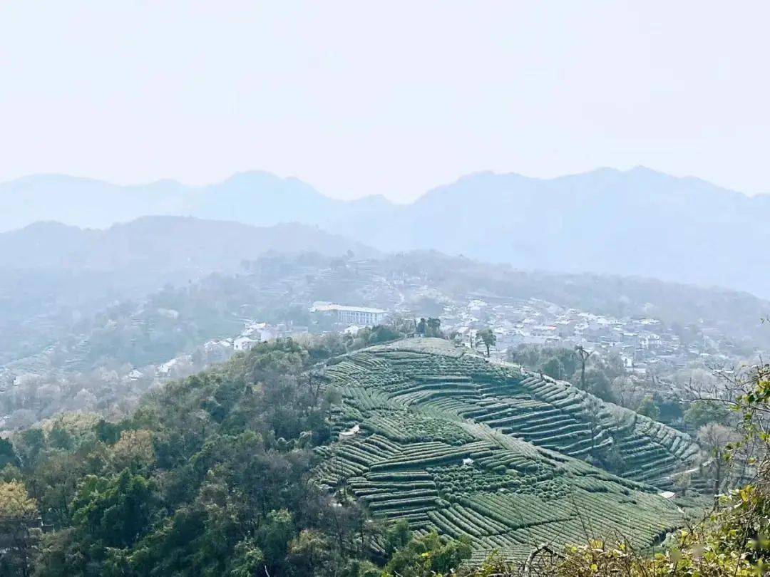 伟人足迹映西湖五朱德登南高峰