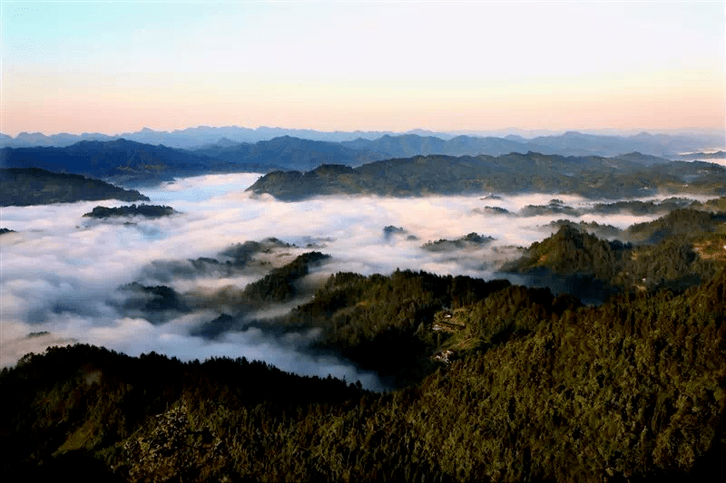 區縣動態|江津四面山上百家農家樂已完成整改