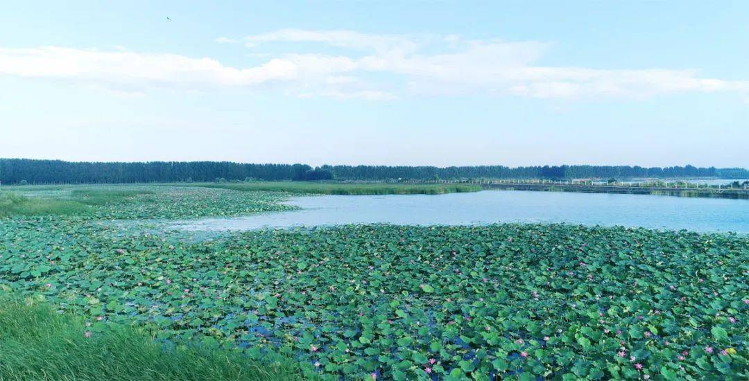 《中国矿业报》头版头条报道 济宁邹城太平镇矿山生态修复典型案例