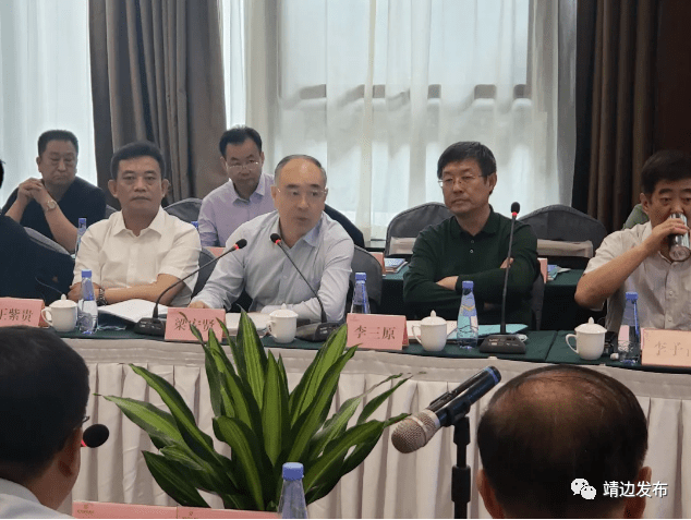 孙利斌指出,过去的"十三五"期间,靖边县地区生产总值年均增长4.