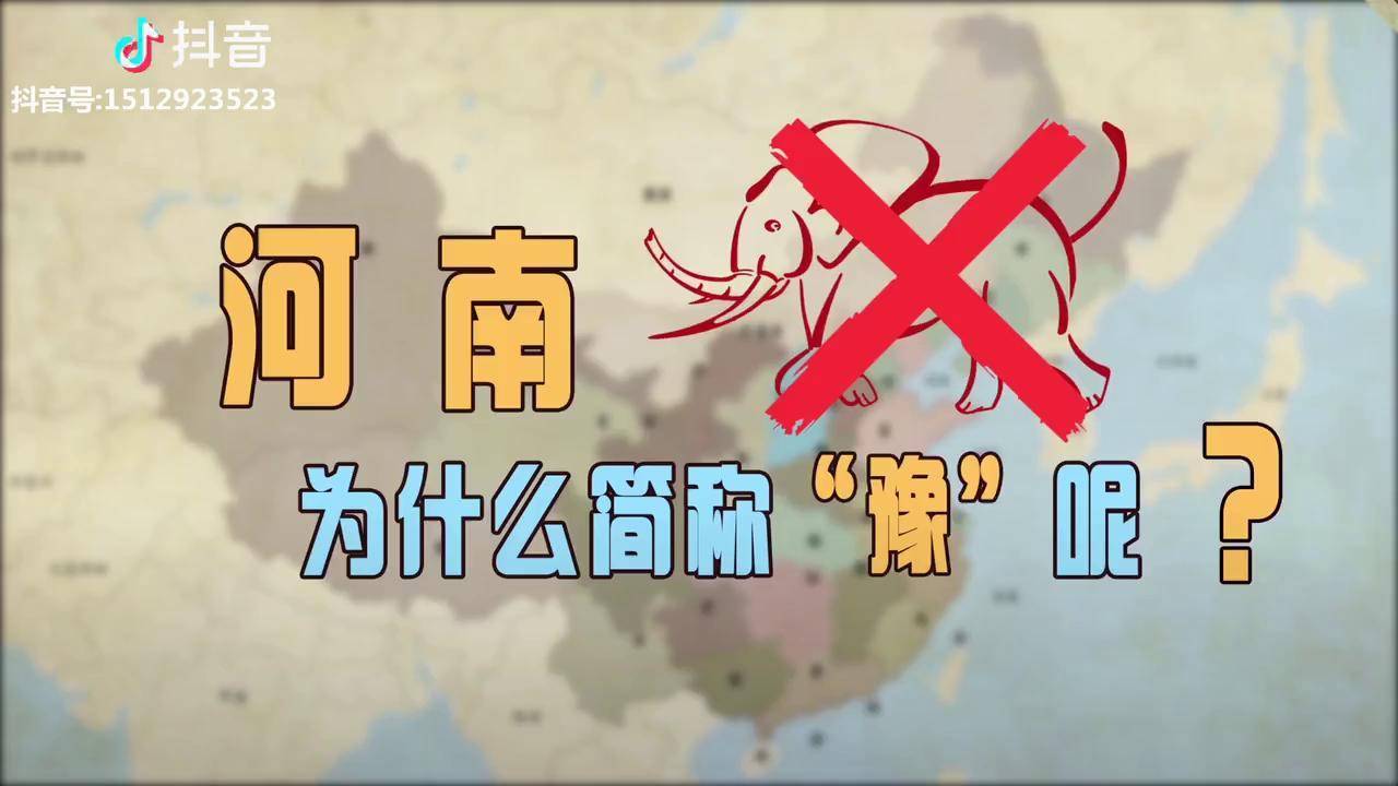 河南没有大象为什么简称豫2全集点主页观看