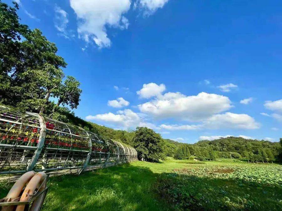 a1cc467de4bb44289a941143f2e6f4b5.jpeg