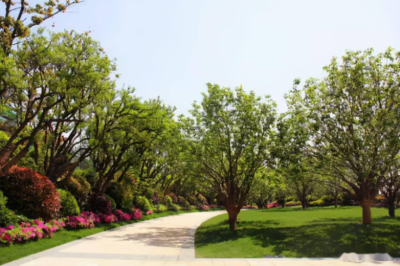 这样做软景植物配置甲方爱死你