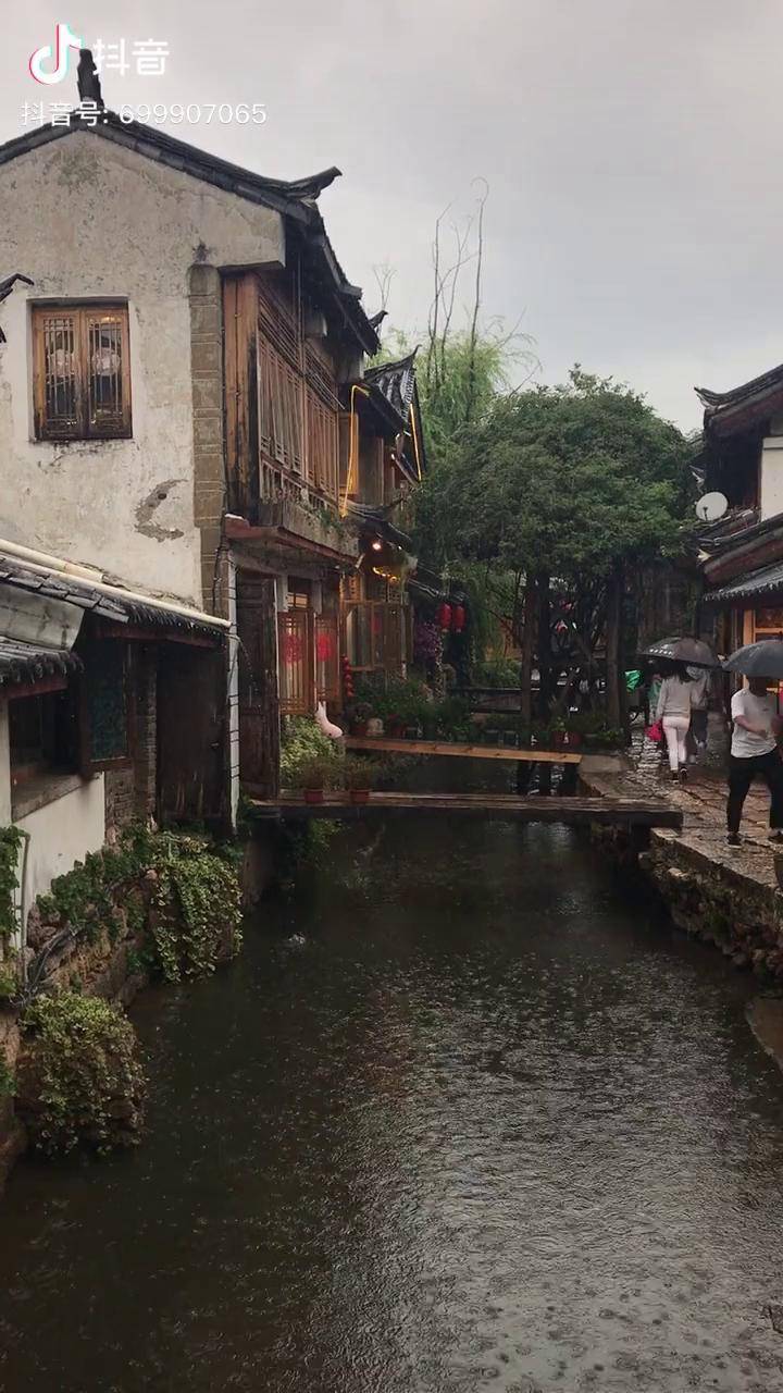 雨纷纷旧故里草木深