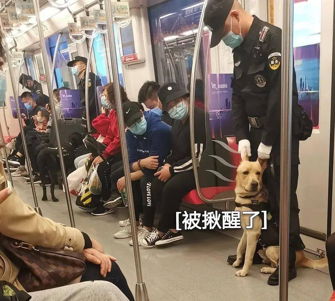 图源:豆瓣@宝子不宝宝11狗哥的上班日常只要点赞不过500老板就看不到