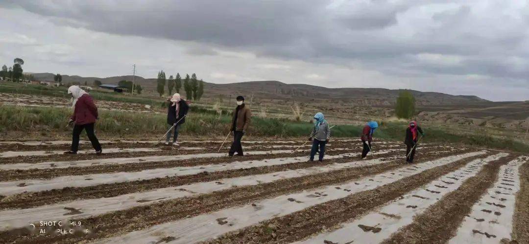 山丹县GDP_山丹县的社保局在哪个位置(2)