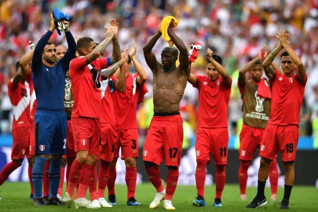 会员动态由爱奇人造草铺设的秘鲁最高甲级联赛足球场再获fifa认证