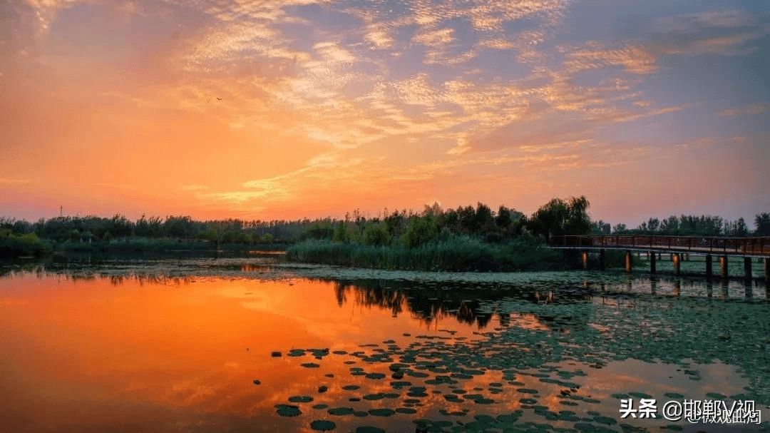 曲周莲花湖公园图片