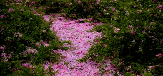 d45eee2159b54654bd3e01901a96a8c2.png