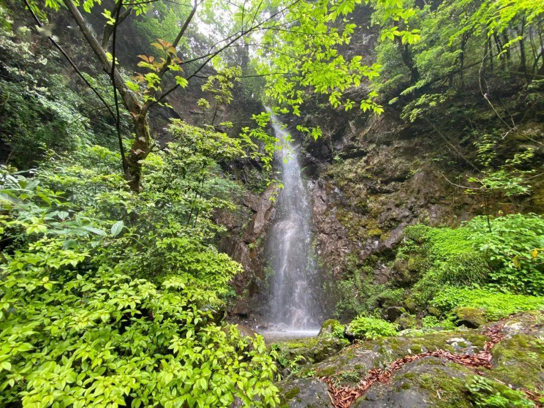 玉舍國家森林公園.