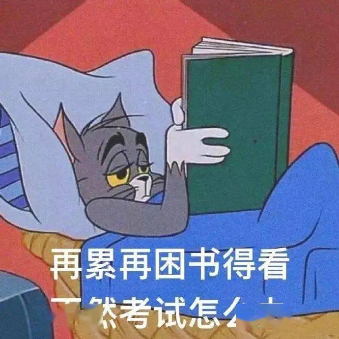 b45a8c5d0c364defaa07c8c78ede6eab.jpeg