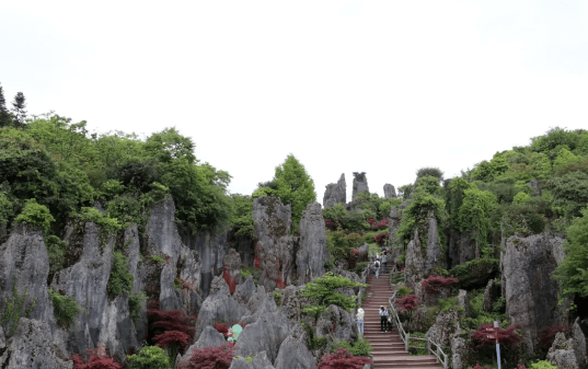 提前通過智遊華鎣山小程序預定景區門票享驚喜哦!