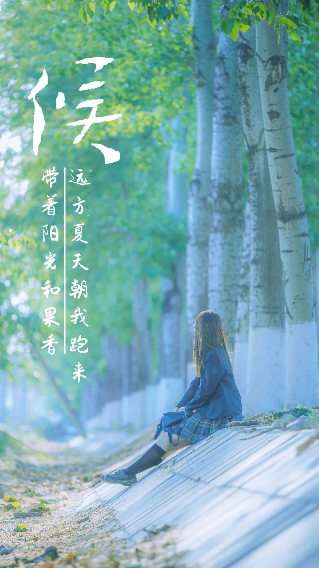长风踏歌，免费观看高清短剧的精彩世界，免费高清短剧的精彩世界，长风踏歌