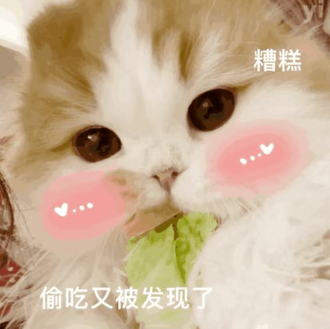 0146f11770fa4b7db355599db465108d.png
