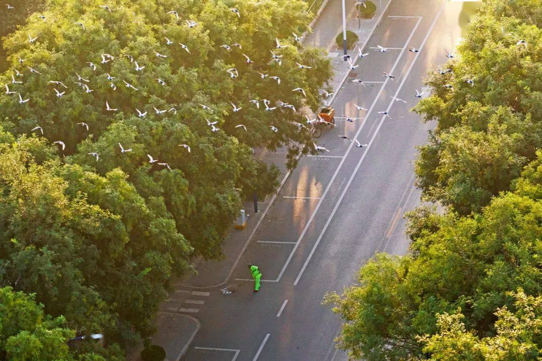 绿宝儿杯临淄区全员环保主题摄影大赛获奖作品展二