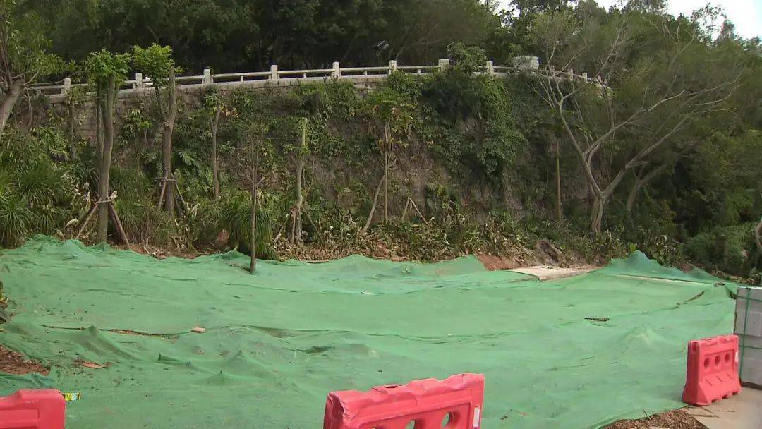 雨林世界,多肉植物區,花卉園路口,國防園五個觀光車站點;為了提升園區