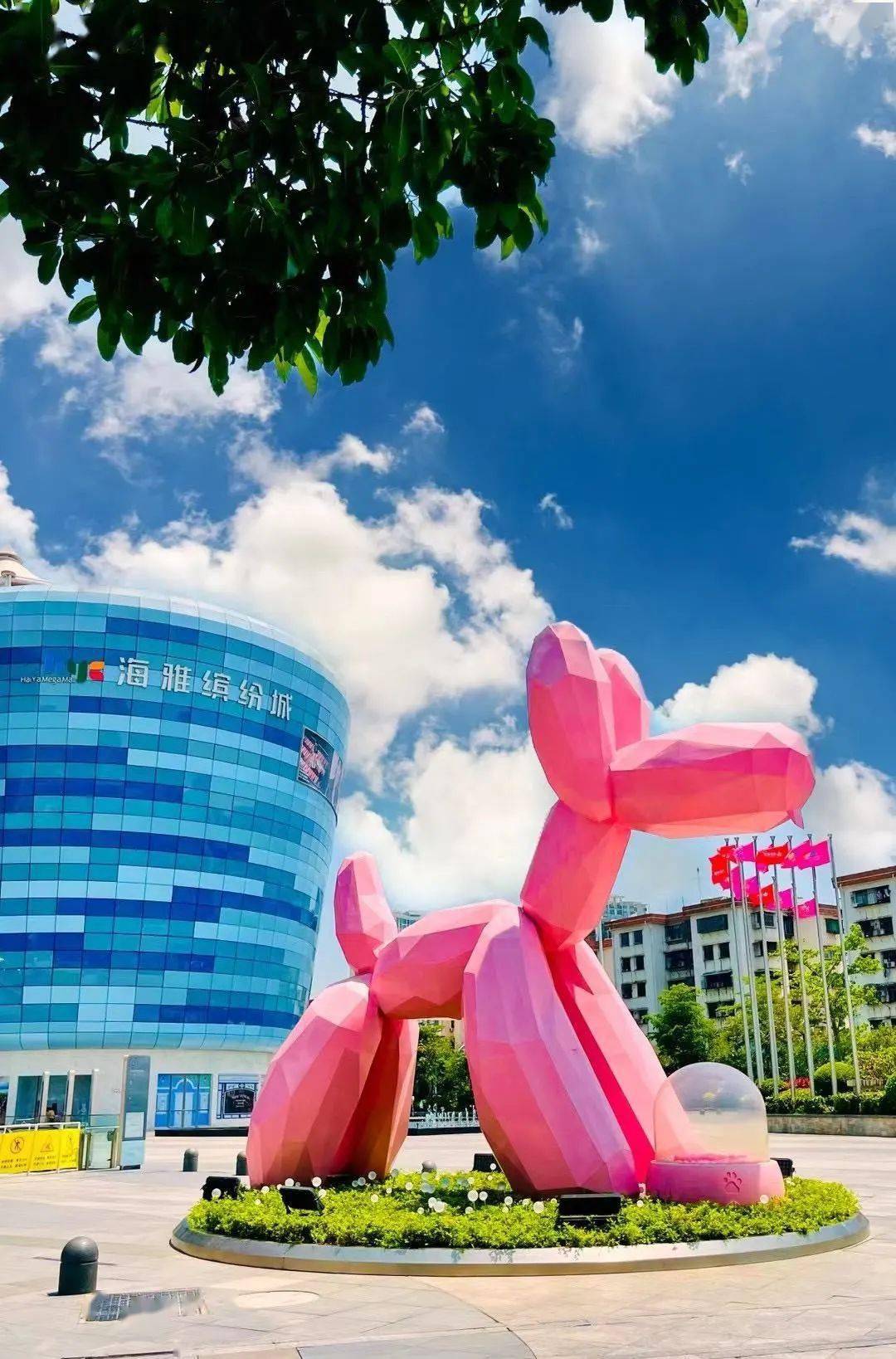 【阿猫阿狗】正在报名: 5月23日(周日),宝安海雅缤纷城『萌宠大联欢』