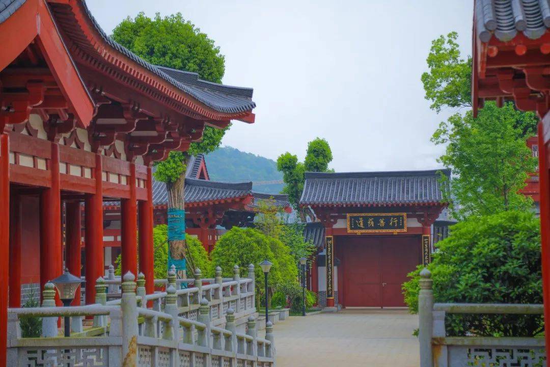 桐溪湖畔湖光城影,花开烂漫桐溪寺前飞檐翘角,雨落黛瓦朗豪酒店欢乐