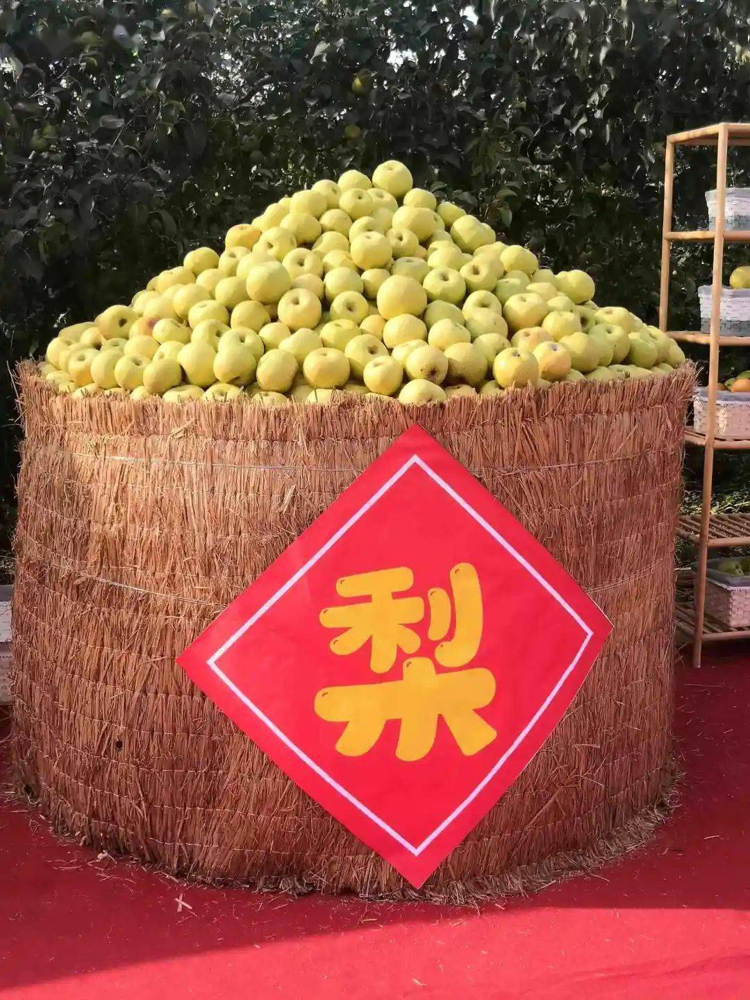 广药白云山爱心满人间宁陵县百岁老人捐赠活动圆满落幕