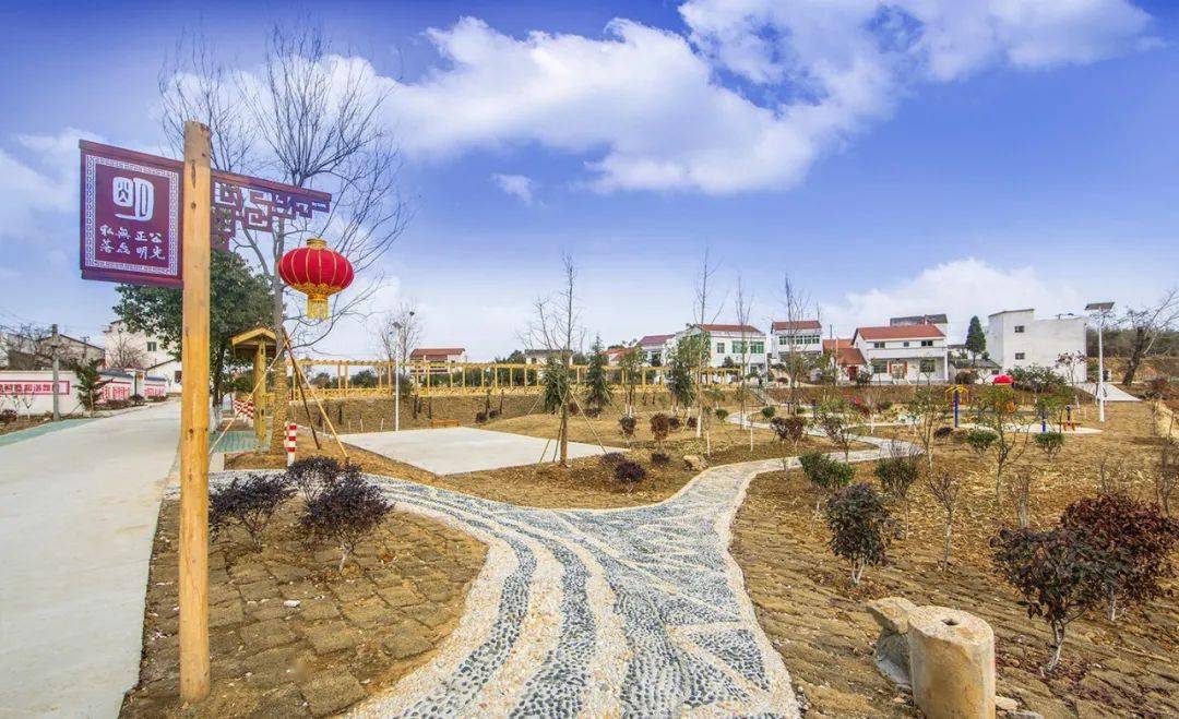 乡村振兴杨平安用成功经验扬起乡村振兴风帆