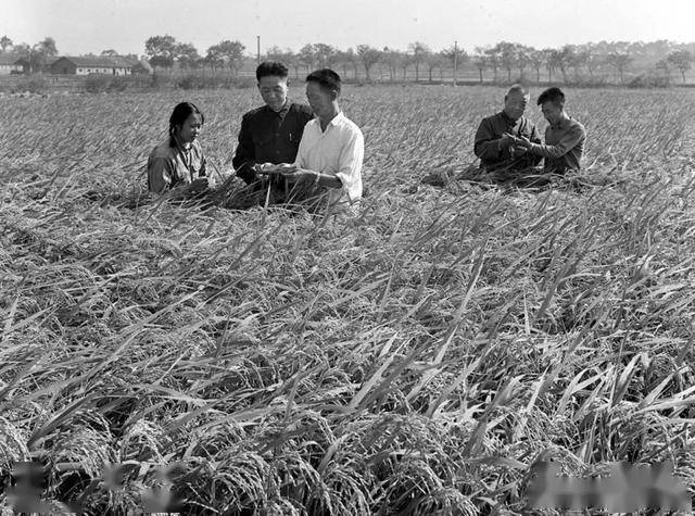 新中国共53次降半旗，都没有为科学家，袁院士能开这个先例吗？