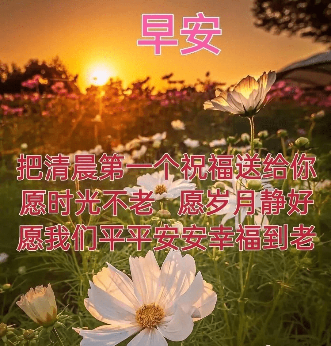 第一缕清风把你亲吻;你起的比鸟儿早,第一声鸟鸣向你问好:亲爱的,早安