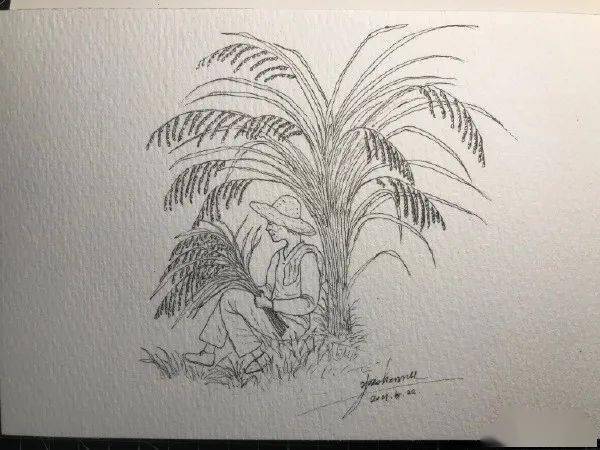 致敬袁老禾下乘凉梦一稻一人生