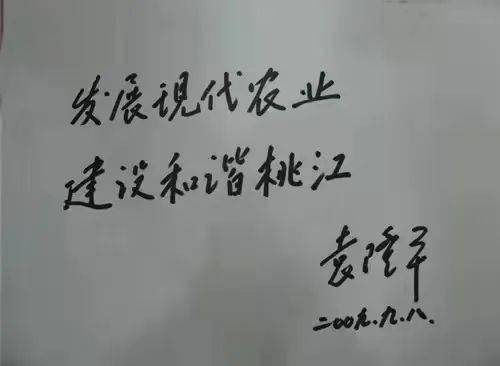 追寻袁隆平足迹 桃江人民交上了一份合格的答卷 杂交