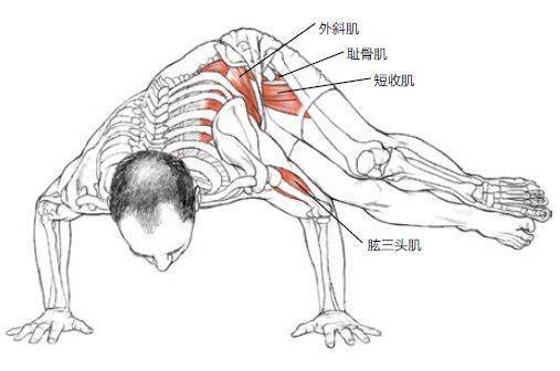 瑜伽曲谱_瑜伽卡通图片(2)