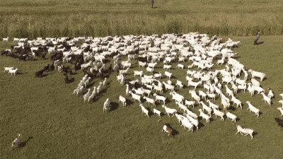 400_225gif 动态图 动图