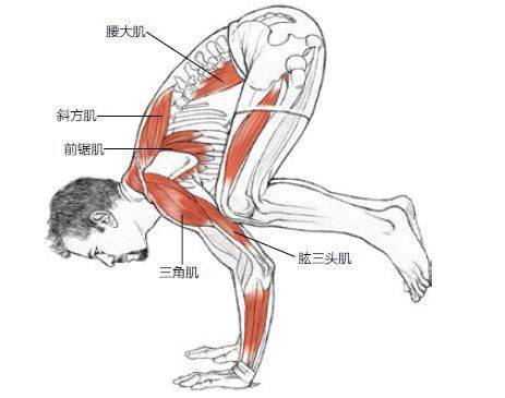 瑜伽曲谱_瑜伽卡通图片